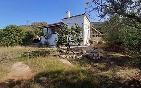 Elafonisos Detached House In Quiet Olive Grove, Starlink Internet & Smart Projector!