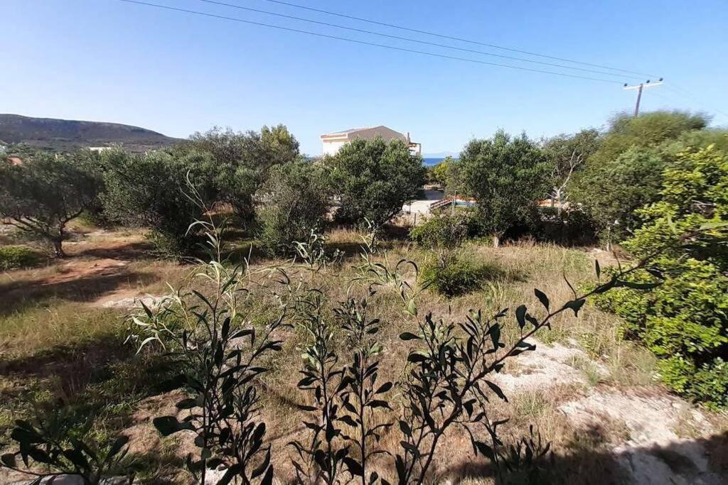 Elafonisos Detached House In Quiet Olive Grove, Starlink Internet & Smart Projector! Villa Esterno foto