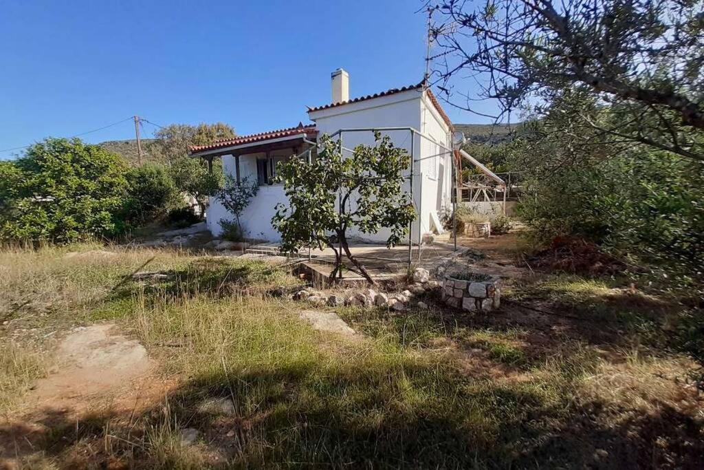 Elafonisos Detached House In Quiet Olive Grove, Starlink Internet & Smart Projector! Villa Esterno foto