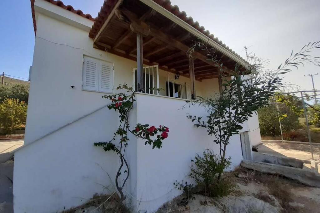 Elafonisos Detached House In Quiet Olive Grove, Starlink Internet & Smart Projector! Villa Esterno foto